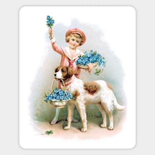 Forget-me-nots for sale Magnet